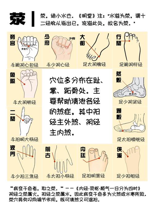 武术练习有哪些基本功手型