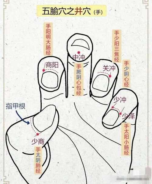 大学体育武术学什么