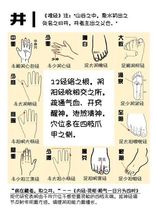 武汉精英文武学校学校简介